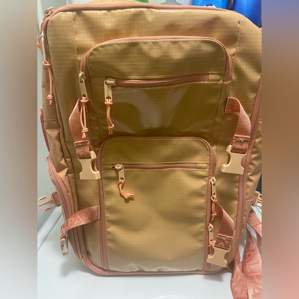Calpak duffel